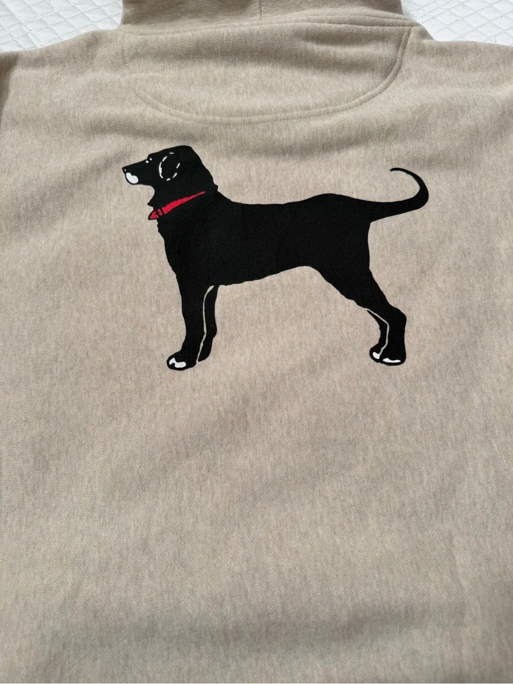 The Black Dog beige fabric
